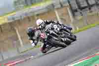 Advanced Group Silver_Grey Bikes